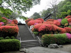 つつじ寺