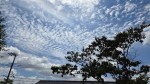 秋の空