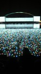 よみうりランド　イルミ０１