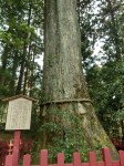 箱根神社01