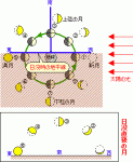 月