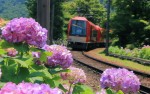 箱根登山鉄道