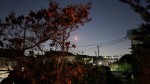 日没